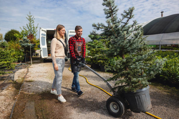 Best Weed Control  in Port Angeles, WA